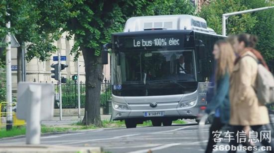 1678417417965528.jpg 7.jpg