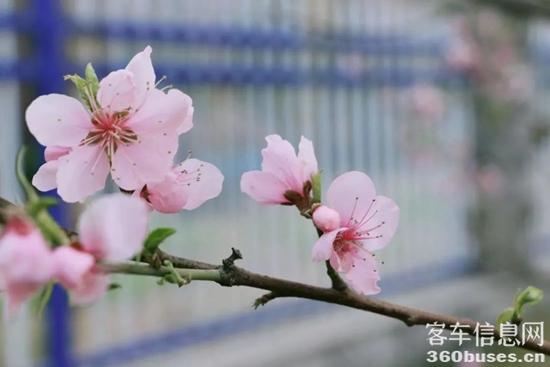 1679966563369785.jpg 2.jpg