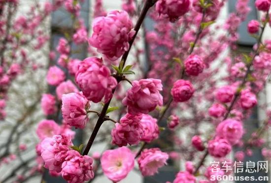 1679966569711897.jpg 3.jpg