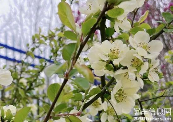 1679966576223693.jpg 4.jpg