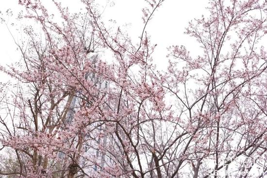 1679966606726790.jpg 5.jpg