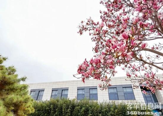 1679966612961209.jpg 6.jpg