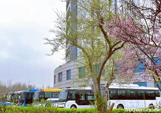 1679966663153526.jpg 8.jpg