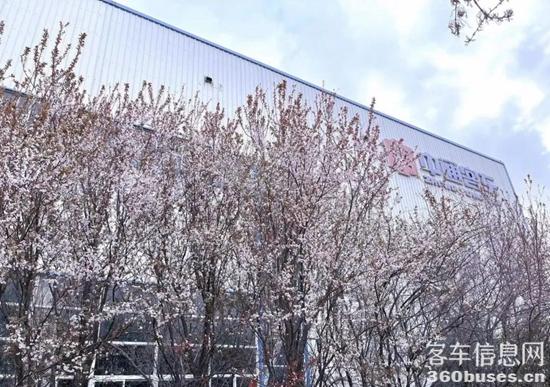 1679966671111073.jpg 9.jpg