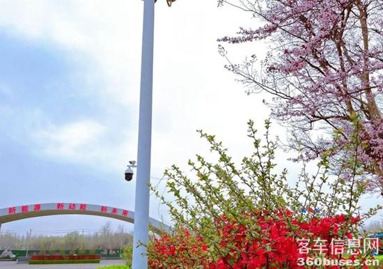 1679966676224585.jpg 10.jpg