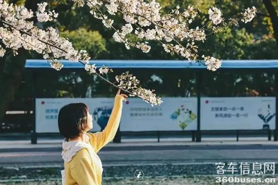 1680054388664835.jpg 6.jpg