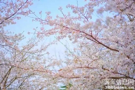 1680054395527827.jpg 7.jpg