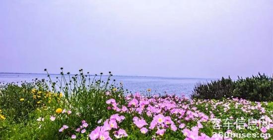 1680054470604360.jpg 12.jpg