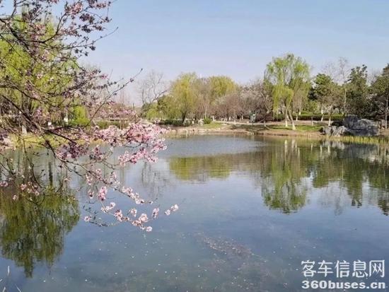 1680054487203312.jpg 14.jpg