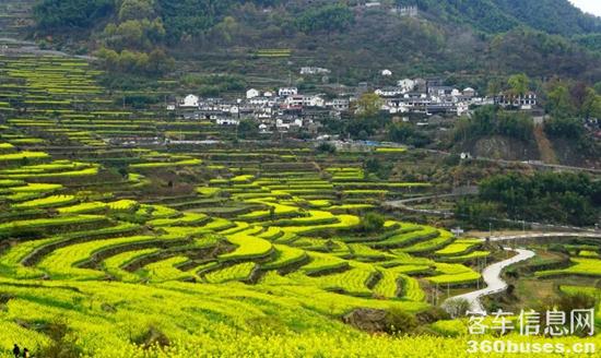 1680055246714233.jpg 1.jpg