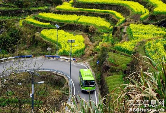 1680055275360385.jpg 2.jpg