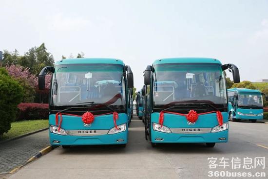 1681692751602651.jpg 7.jpg