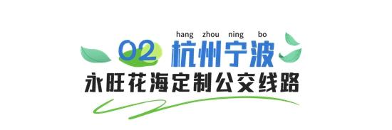 1681787600533088.jpg 9.jpg