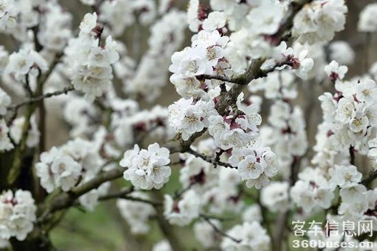 1681787633806717.jpg 11.jpg