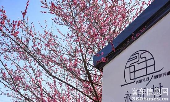 1681787671275017.jpg 12.jpg