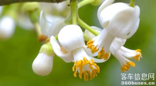 1681787757994478.jpg 16.jpg