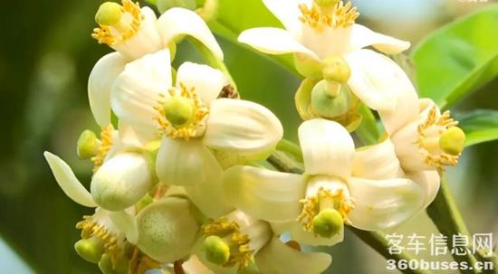 1681787763792753.jpg 17.jpg