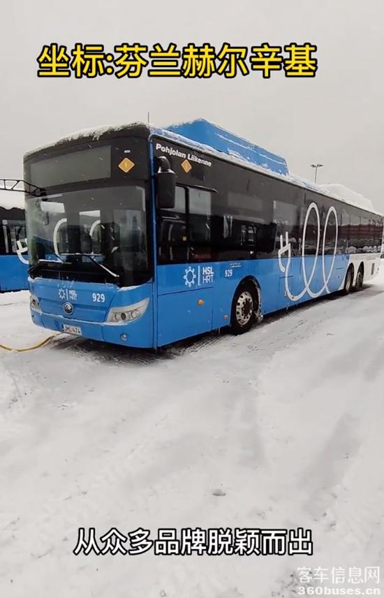 1682040620202690.jpg 11.jpg