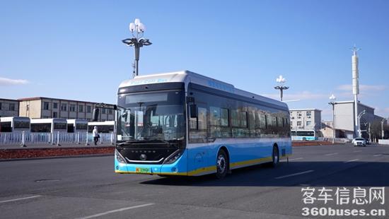 1682042658912729.jpg 11.jpg