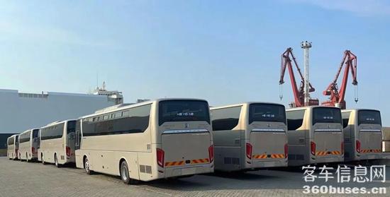 1682644848636594.jpg 4.jpg