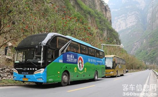 1683173559382646.jpg 2.jpg