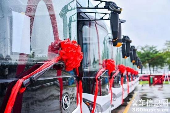 1685324945925017.jpg 3.jpg