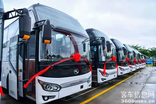 1685324993261573.jpg 5.jpg