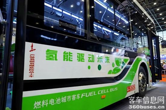 1685494443240291.jpg 10.jpg