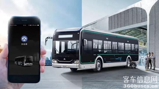 1686103597127589.jpg 10.jpg