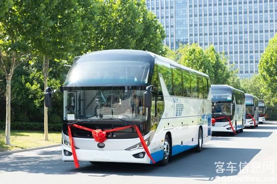 1686880750859622.jpg 11.jpg