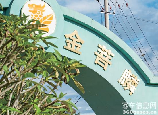 1688002573947651.jpg 10.jpg