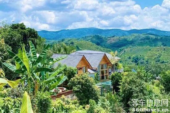 1688002581355231.jpg 11.jpg