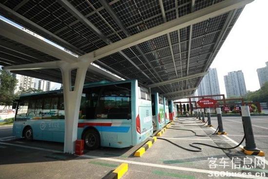 1689300392353361.jpg 3.jpg