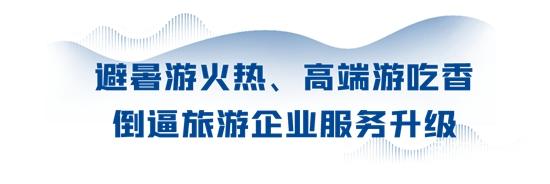 1690506454829146.jpg 2.jpg