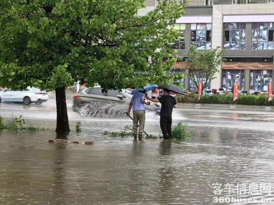 1691119954514026.jpg 1.jpg