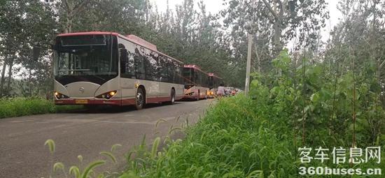 1691119975216929.jpg 5.jpg