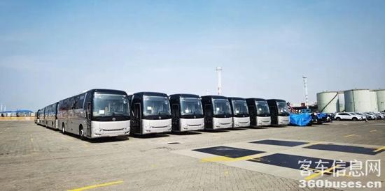 1691460075400260.jpg 8.jpg