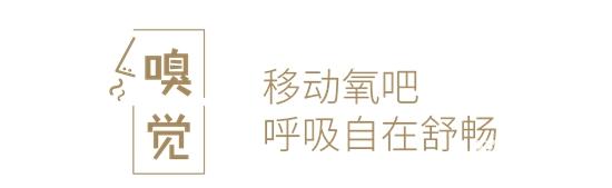 1691718201895274.jpg 6.jpg