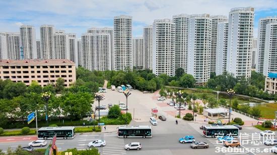 1692403607531278.jpg 3.jpg