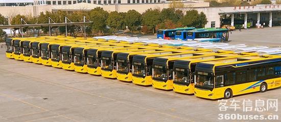 1693534154306665.jpg 2.jpg