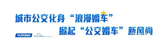 1695000022206850.jpg 1.jpg