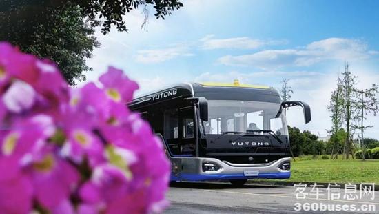 1695341654123470.jpg 10.jpg