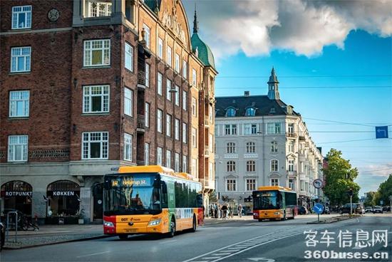 1697417432798381.jpg 4.jpg