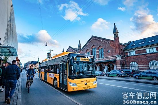 1697417448428015.jpg 7.jpg