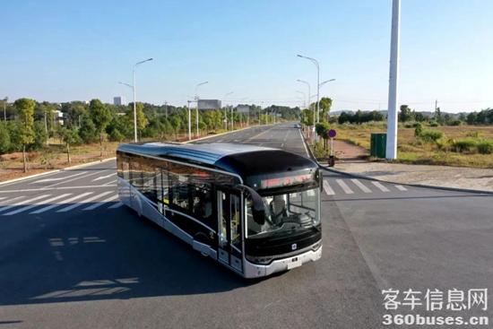 1697601380723029.jpg 12.jpg