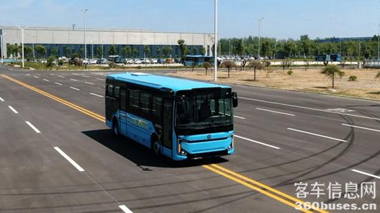 1697691254809352.jpg 6.jpg