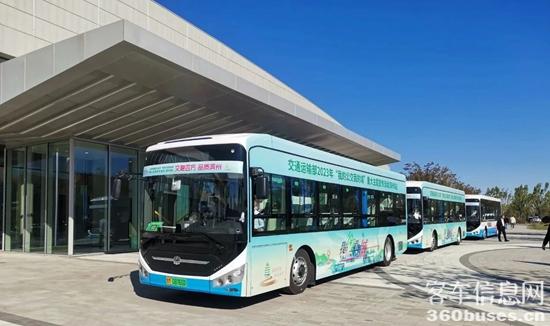 1698021110210470.jpg 4.jpg