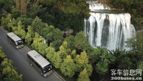 1701223977146242.jpg 10.jpg