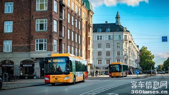 1701827456526746.jpg 5.jpg