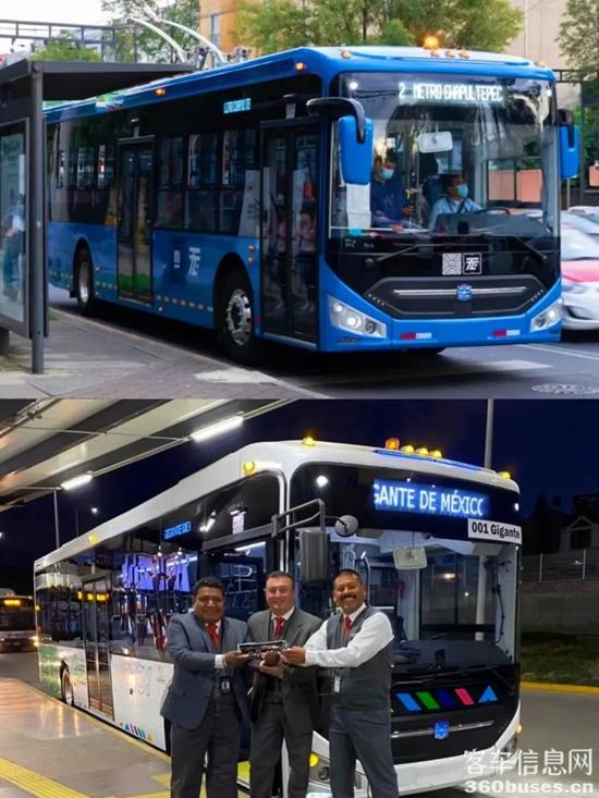 1703042595230897.jpg 11.jpg